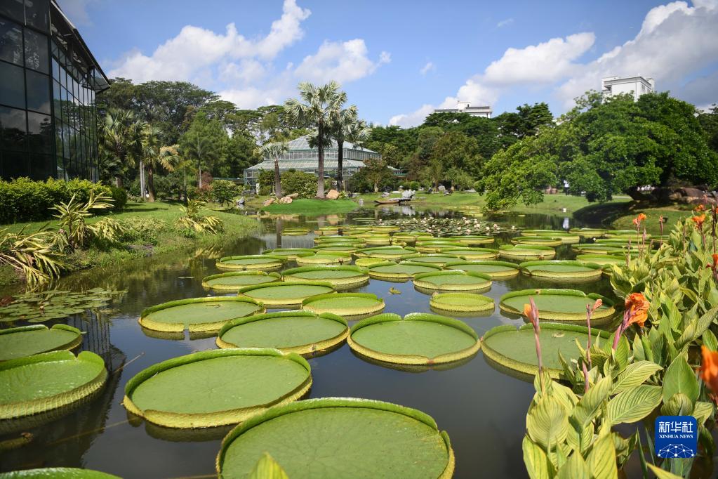 China Resmikan Kebun Raya Kedua-Image-4