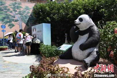 Panda di Hongkong Ocean Park Mati, Warga Ziarah-Image-1
