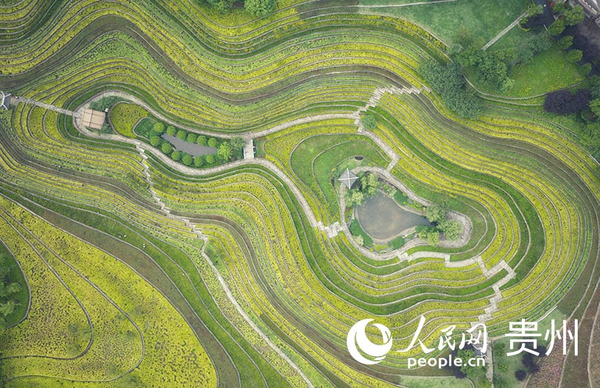 POTRET: Ladang di Guizhou Mirip Sidik Jari-Image-1