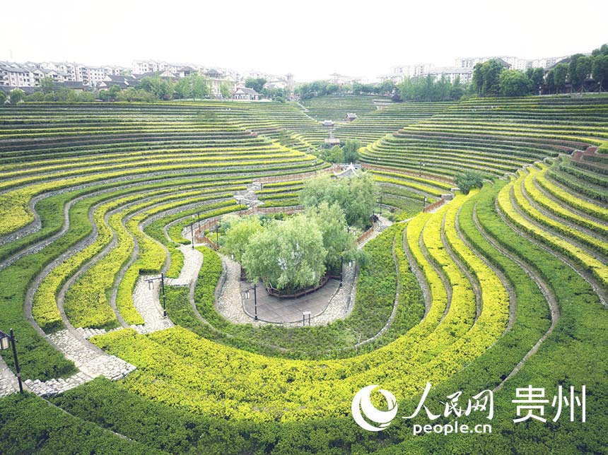 POTRET: Ladang di Guizhou Mirip Sidik Jari-Image-7