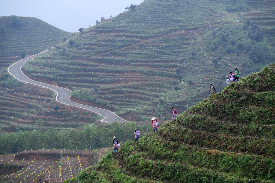 Ekonomi Digital Ubah Provinsi Guizhou dari Miskin ke Makmur-Image-2