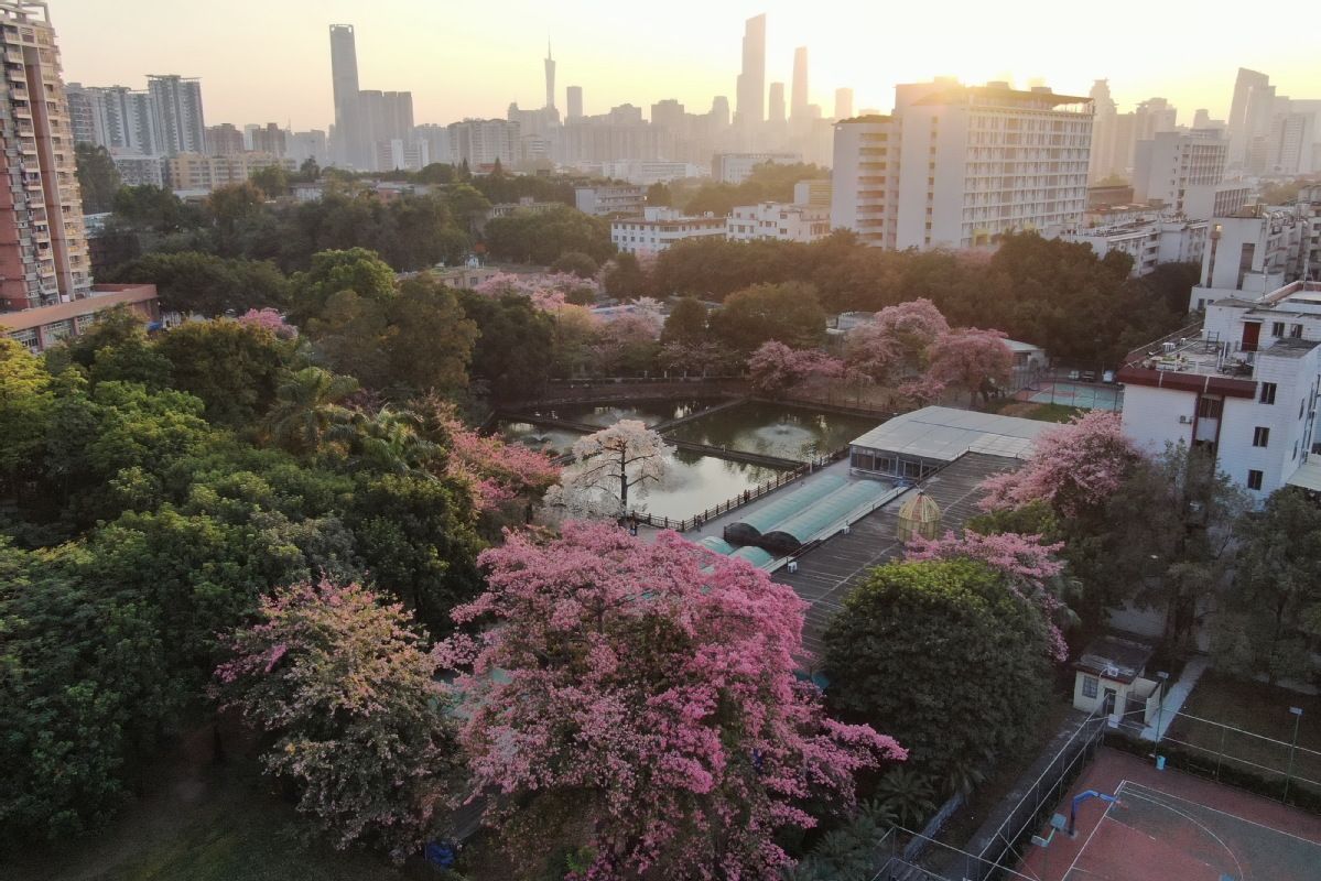 10 Kota dengan Jumlah Universitas Terbanyak di China-Image-9