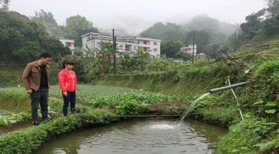 Maoming Dikepung Gunung daripada Dataran-Image-1