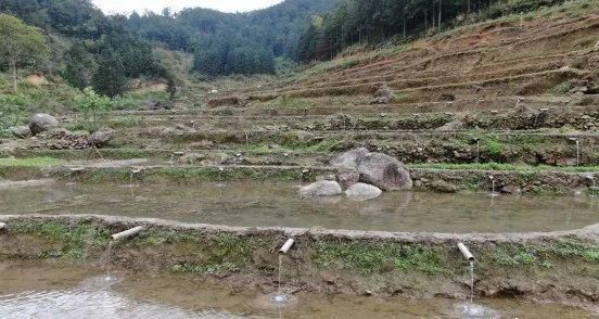 Maoming Dikepung Gunung daripada Dataran-Image-2