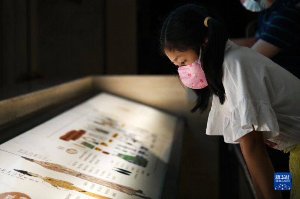 Museum Sejarah Shaanxi Gelar Pameran Musim Panas-Image-2