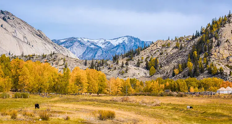 Rekomendasi Wisata Negeri Dongeng Xinjiang Utara-Image-11