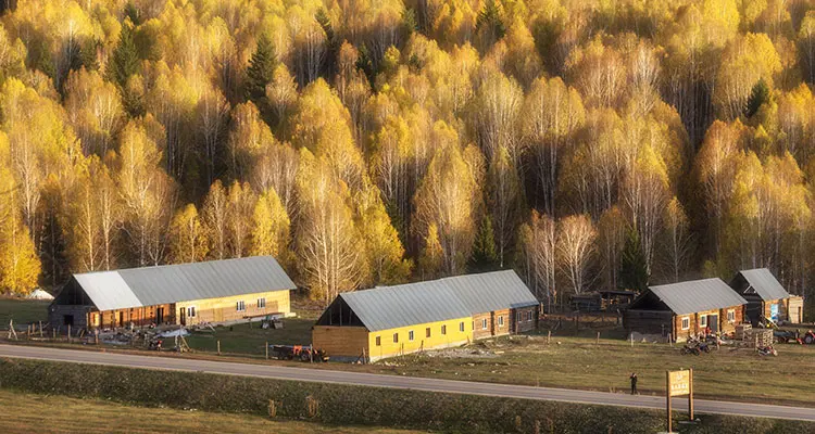 Rekomendasi Wisata Negeri Dongeng Xinjiang Utara-Image-4