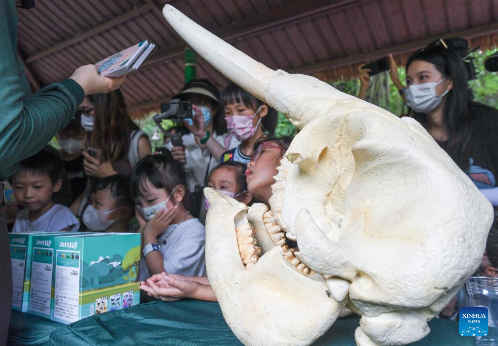 POTRET: Hari Gajah Sedunia Diperingati di Guangzhou-Image-1