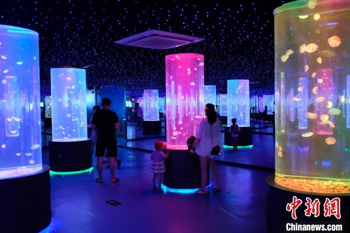 Pameran Karang dan Ubur Ubur di Guangxi-Image-8