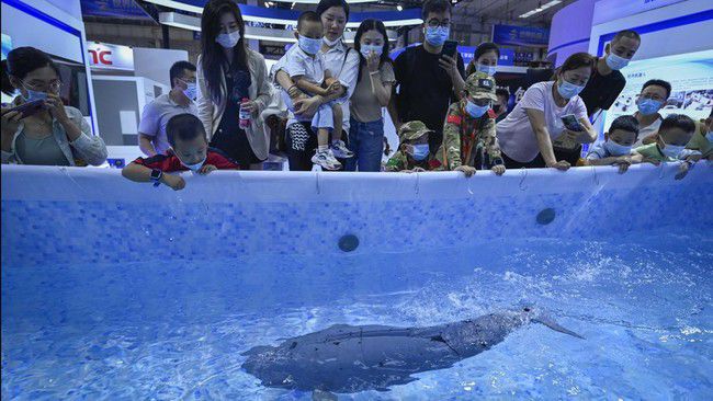 Robot Nyanyi dan Robot Ikan Berenang di Beijing-Image-5