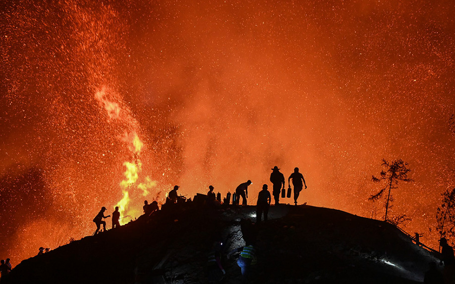 Ribuan Warga Bantu Atasi Kebakaran Hutan Chongqing-Image-2