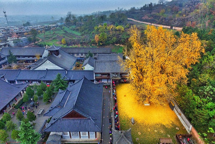 Ketika Daun Emas Gugur di Gunung Zhongnan-Image-1