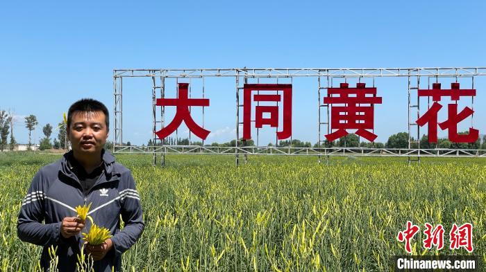 Pria di Shanxi Makmurkan Warga Desa dengan Daylily-Image-3