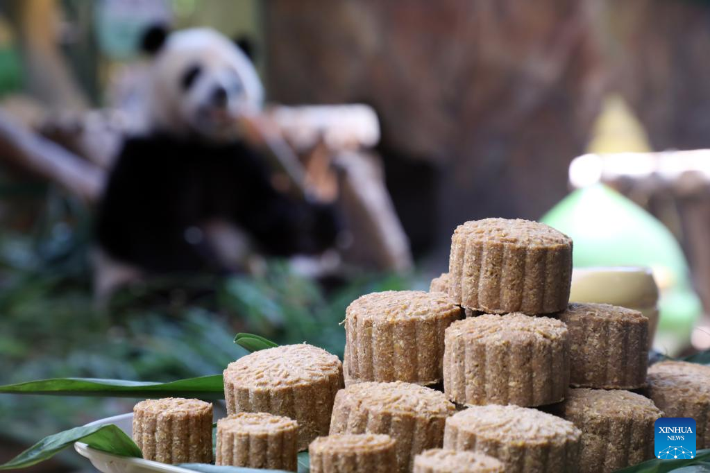 Panda Kembar 3 Makan Kue Bulan Rayakan Festival Musim Gugur-Image-3