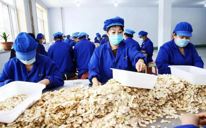 Jilin Produksi Ginseng Senilai Rp211 T per Tahun-Image-1
