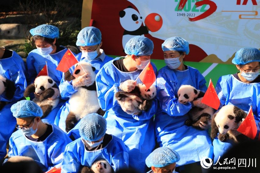 POTRET: Chengdu Panda Pamerkan Bayi Panda-Image-6