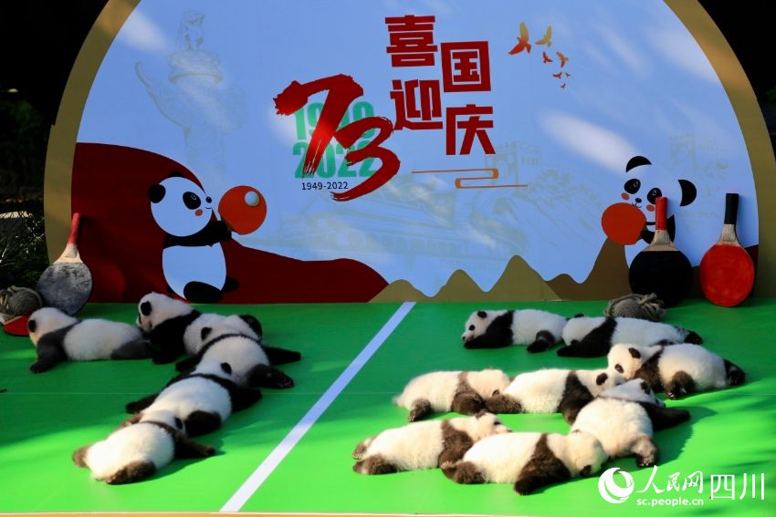 POTRET: Chengdu Panda Pamerkan Bayi Panda-Image-7