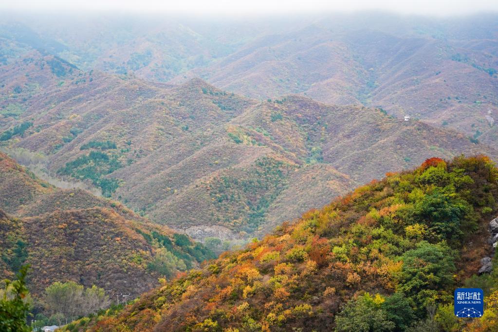 POTRET: Wisata Musim Gugur di Gunung Baihua-Image-1