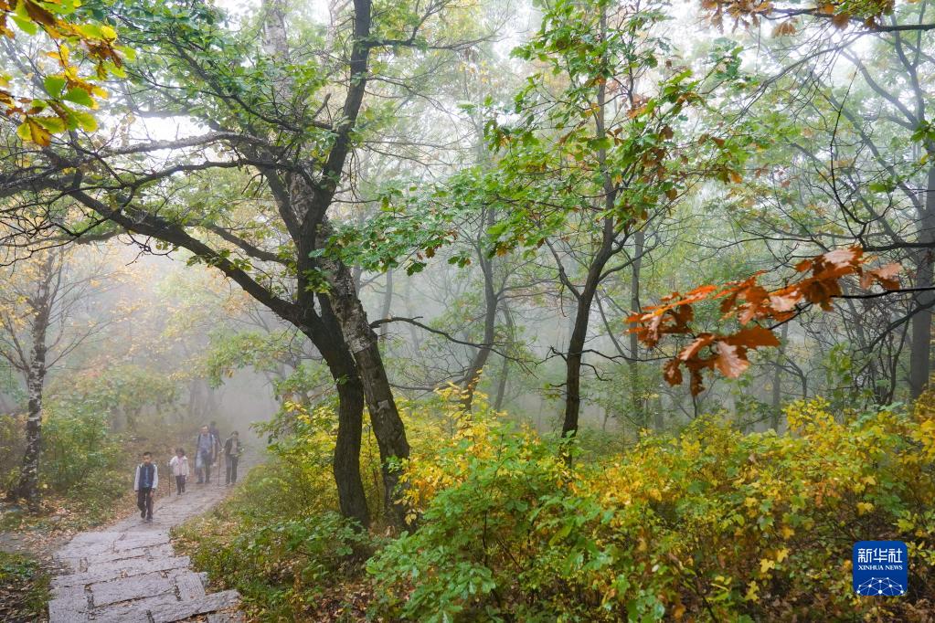 POTRET: Wisata Musim Gugur di Gunung Baihua-Image-3