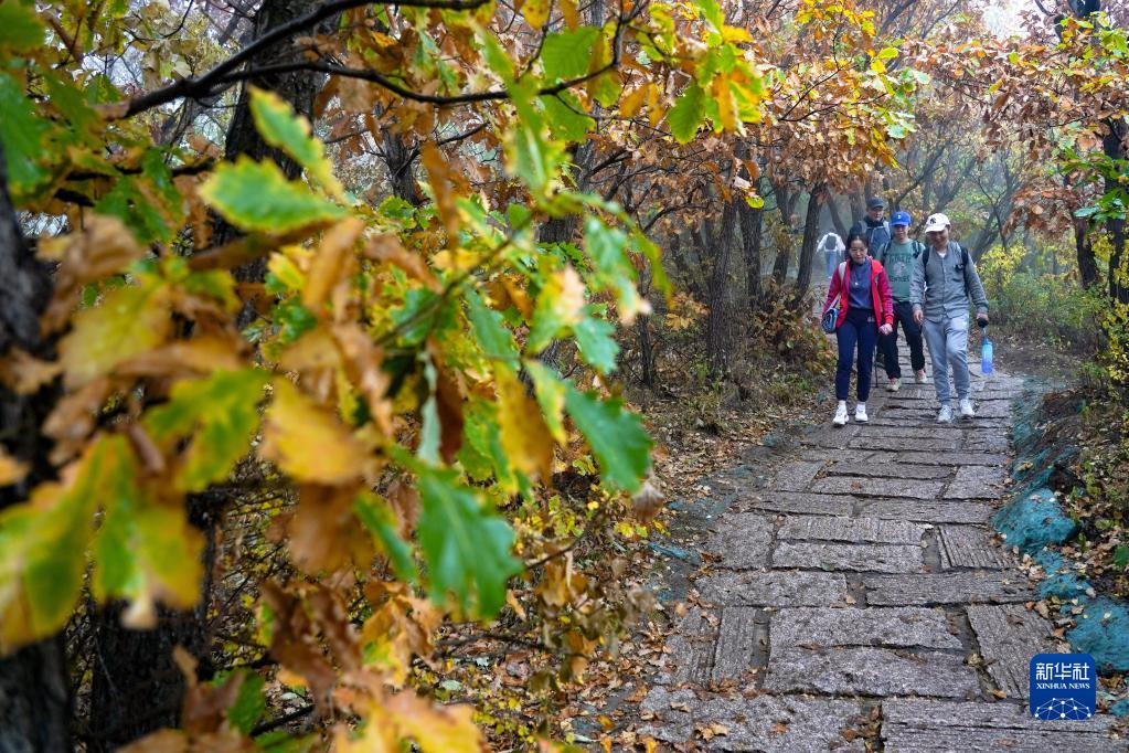 POTRET: Wisata Musim Gugur di Gunung Baihua-Image-4