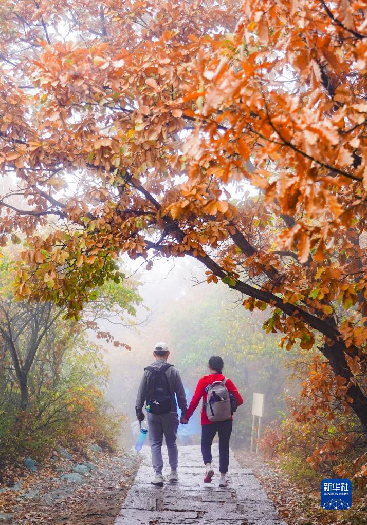 POTRET: Wisata Musim Gugur di Gunung Baihua-Image-5