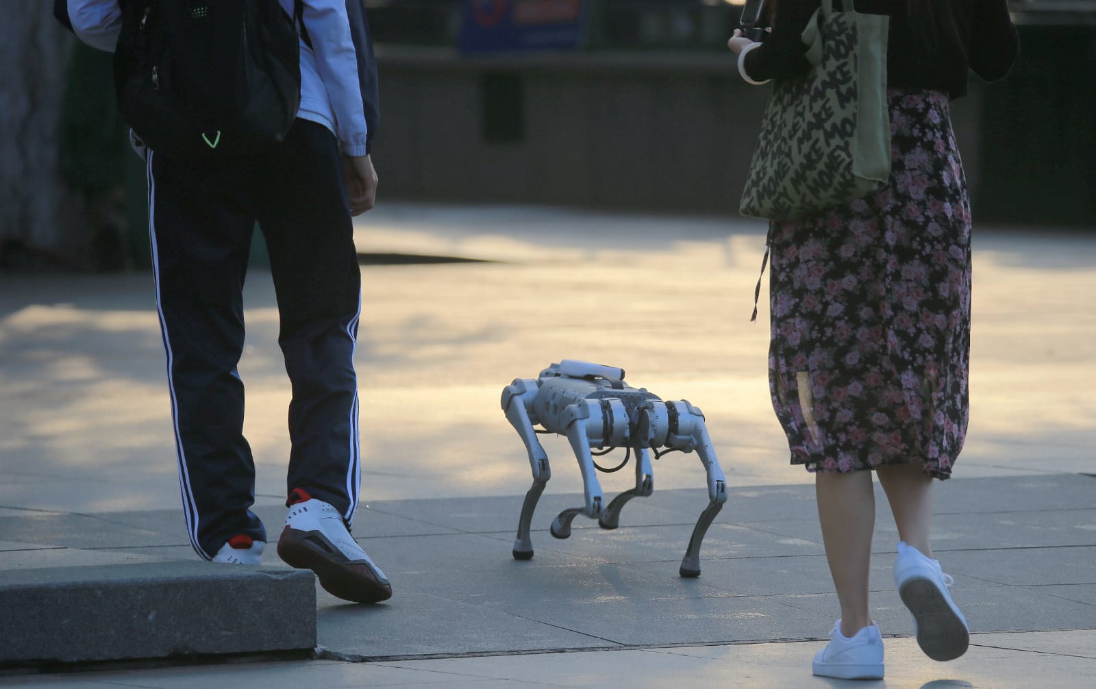 Anjing Robot Kini Populer di China-Image-1