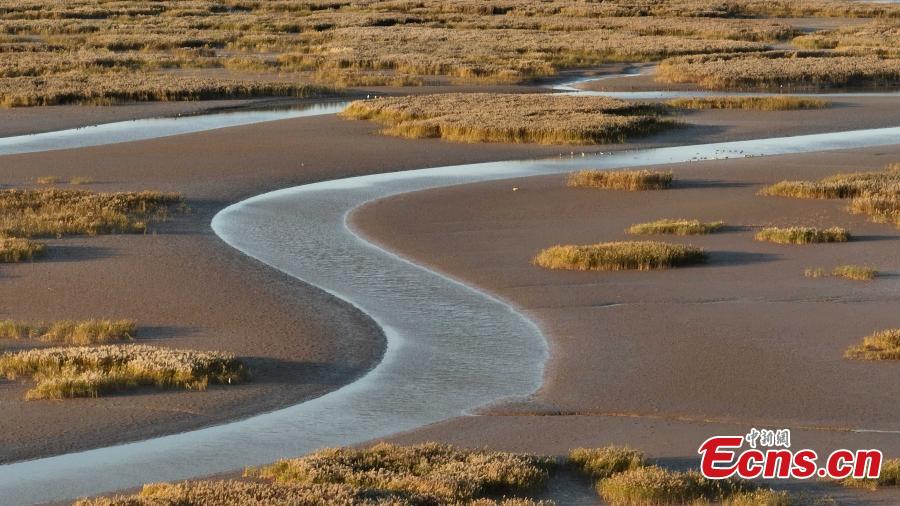 POTRET, Indahnya Sungai Kuning di Musim Gugur-Image-1