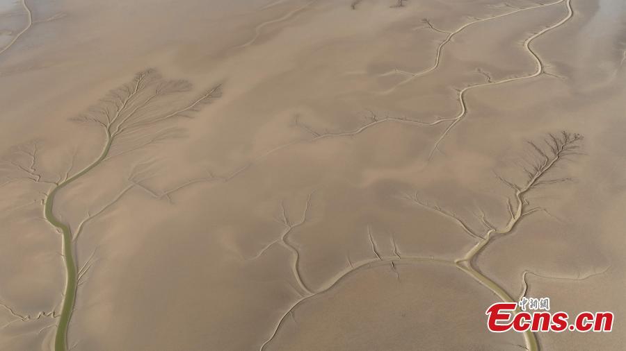 POTRET, Indahnya Sungai Kuning di Musim Gugur-Image-5