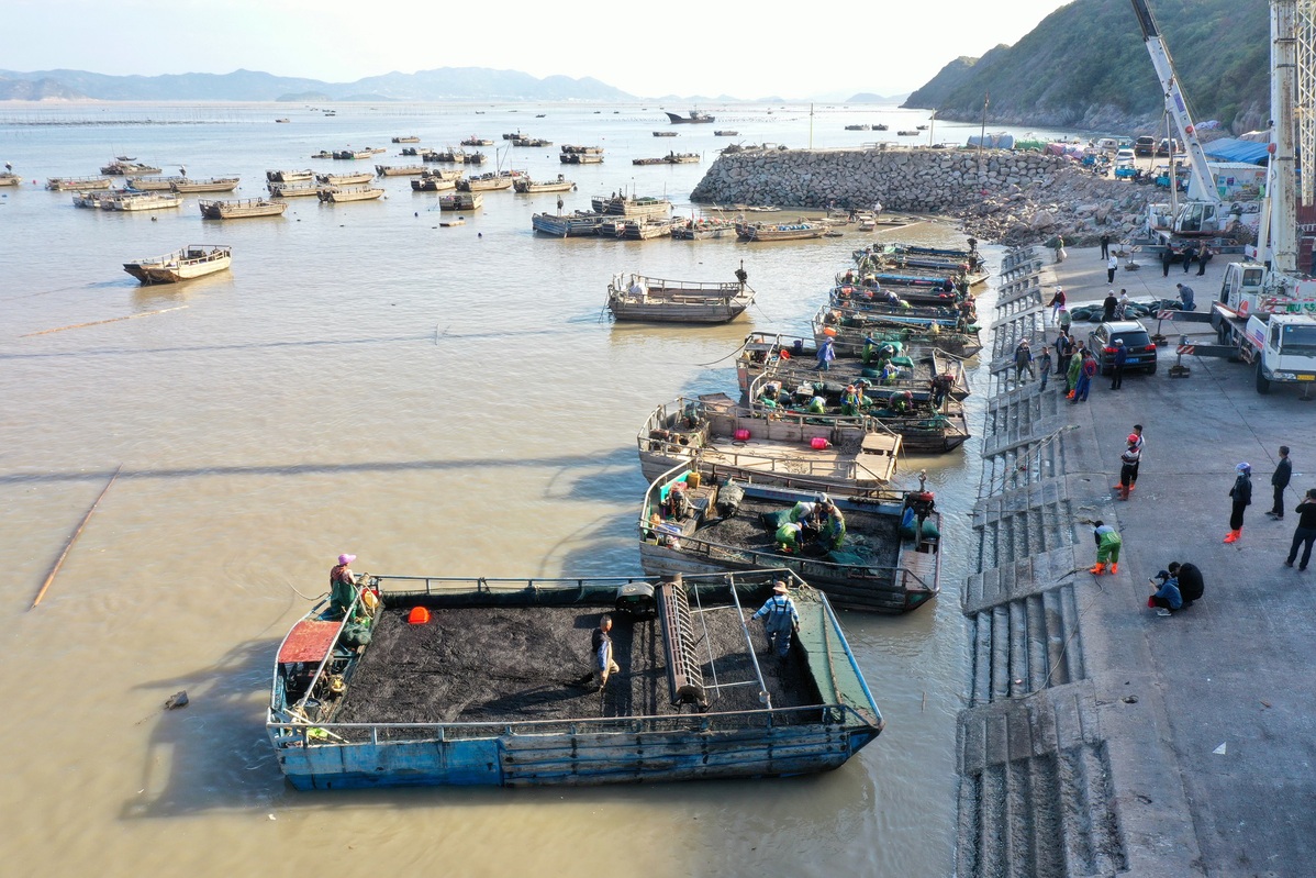 POTRET Panen Rumput Laut di Fujian-Image-11
