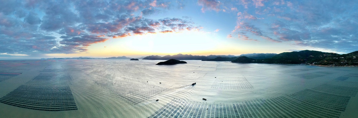POTRET Panen Rumput Laut di Fujian-Image-13