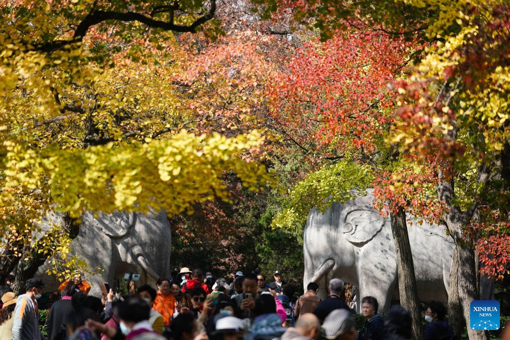 POTRET Indahnya Mausoleum Xiaoling di Nanjing-Image-1