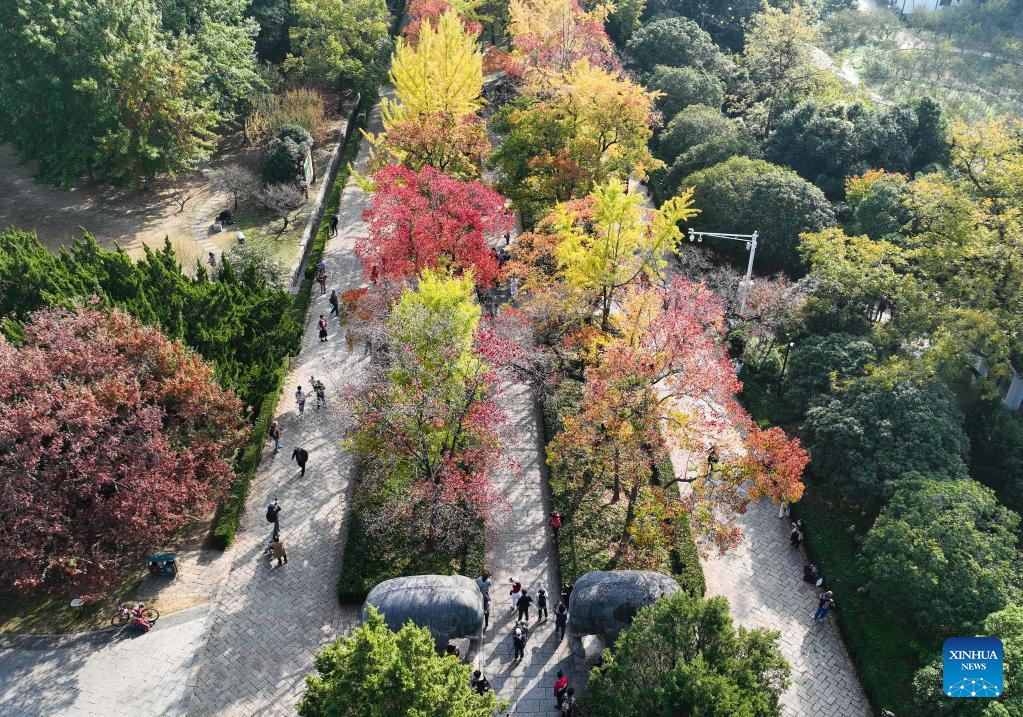 POTRET Indahnya Mausoleum Xiaoling di Nanjing-Image-4