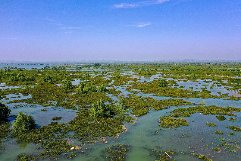 Lebih dari Separo Hutan Bakau China Dilindungi-Image-1