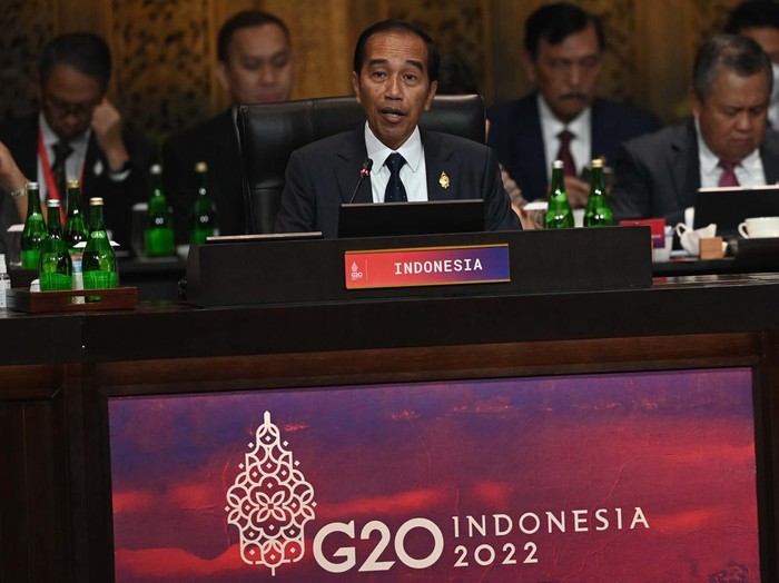 Indonesia Luncurkan Global Blended Finance di Bali-Image-1