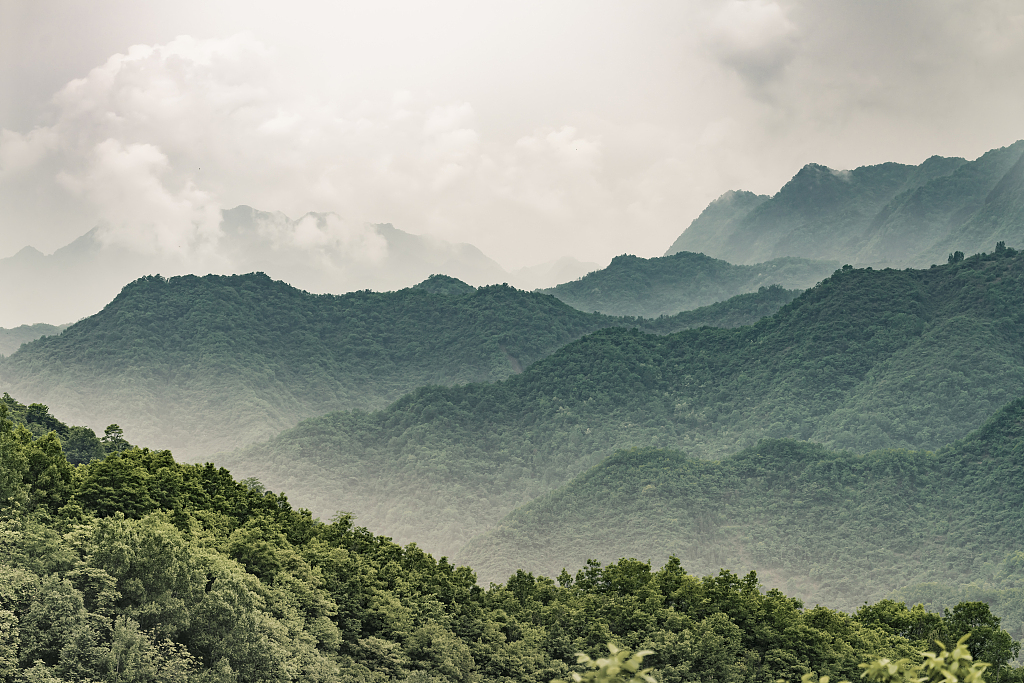 China Bikin Konservatori Iklim di Pegunungan Qinling-Image-1
