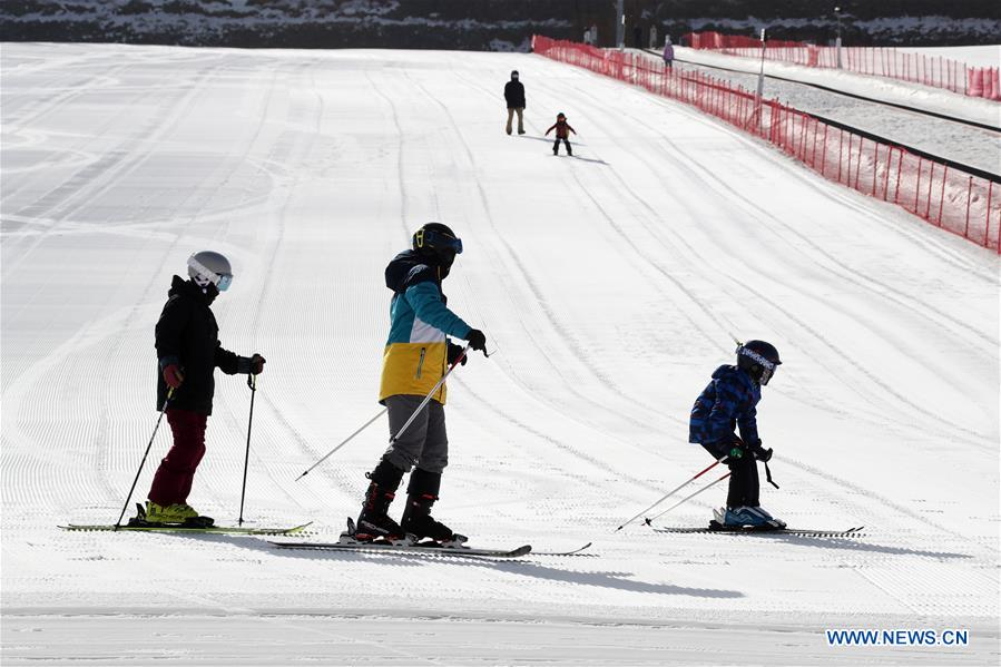 Resor Ski Olimpiade Terbuka untuk Umum di Musim Dingin-Image-1