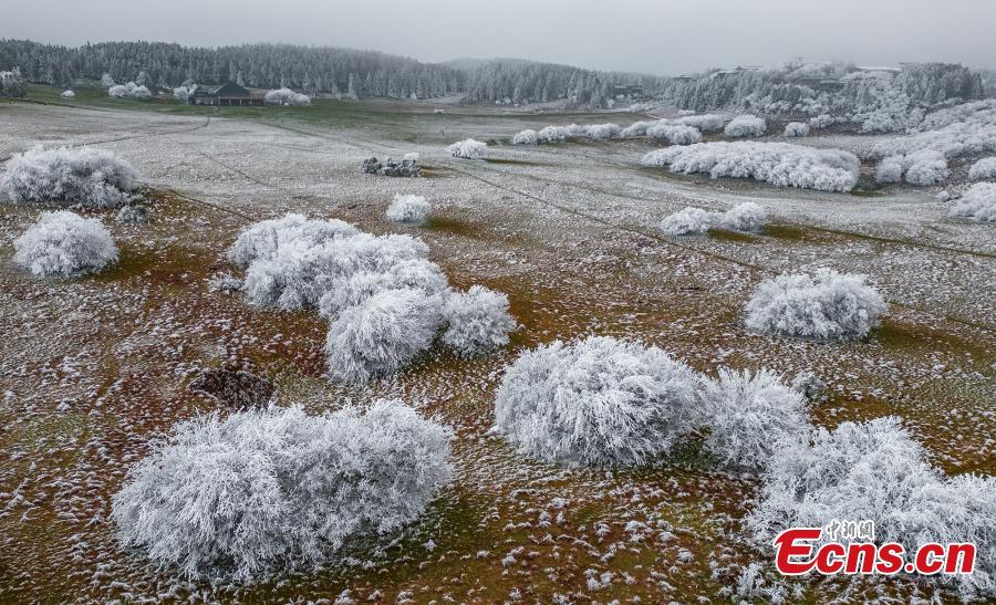 POTRET Bunga Rime Hiasi di Gunung Peri di Chongqing-Image-5