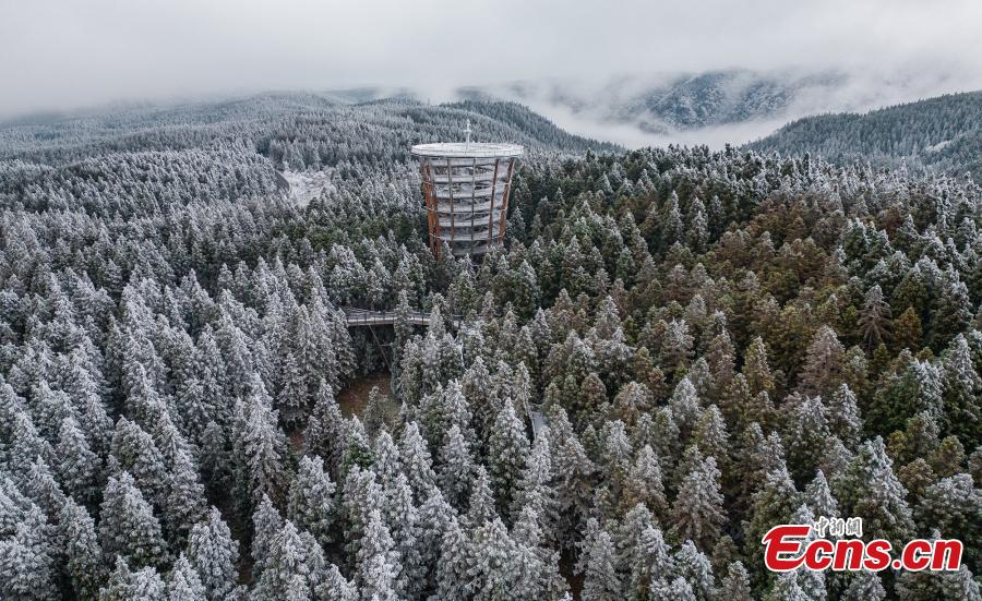 POTRET Bunga Rime Hiasi di Gunung Peri di Chongqing-Image-6