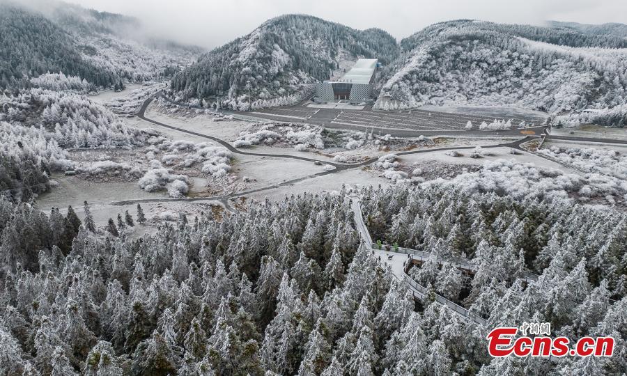 POTRET Bunga Rime Hiasi di Gunung Peri di Chongqing-Image-4