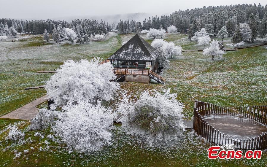 POTRET Bunga Rime Hiasi di Gunung Peri di Chongqing-Image-2