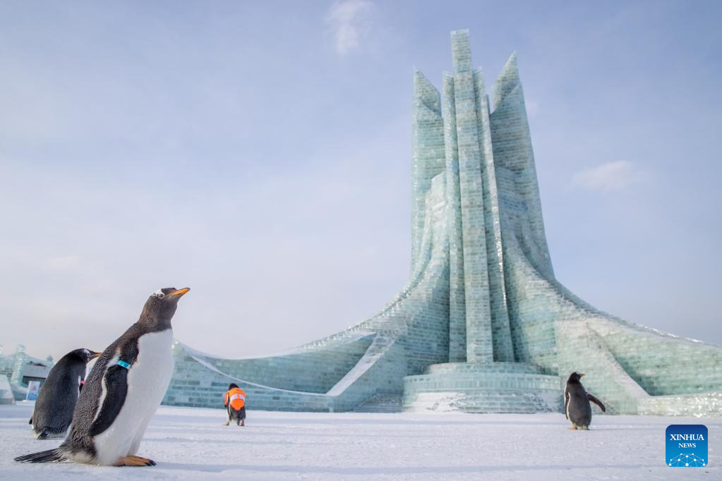 POTRET Penguin Mejeng di Harbin Ice-Snow World-Image-3