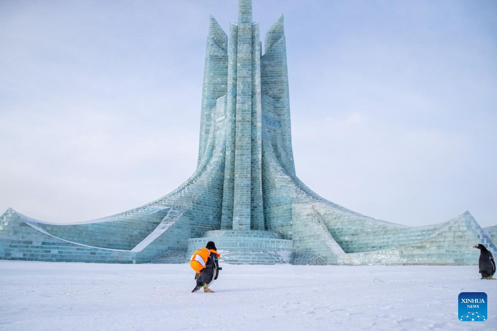 POTRET Penguin Mejeng di Harbin Ice-Snow World-Image-4