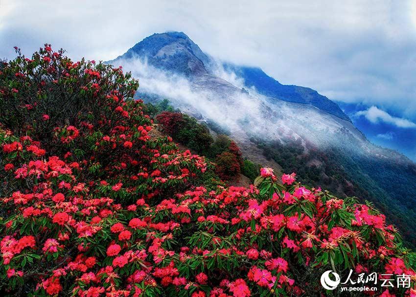 POTRET Warna-warni Yunnan dalam Empat Musim-Image-2