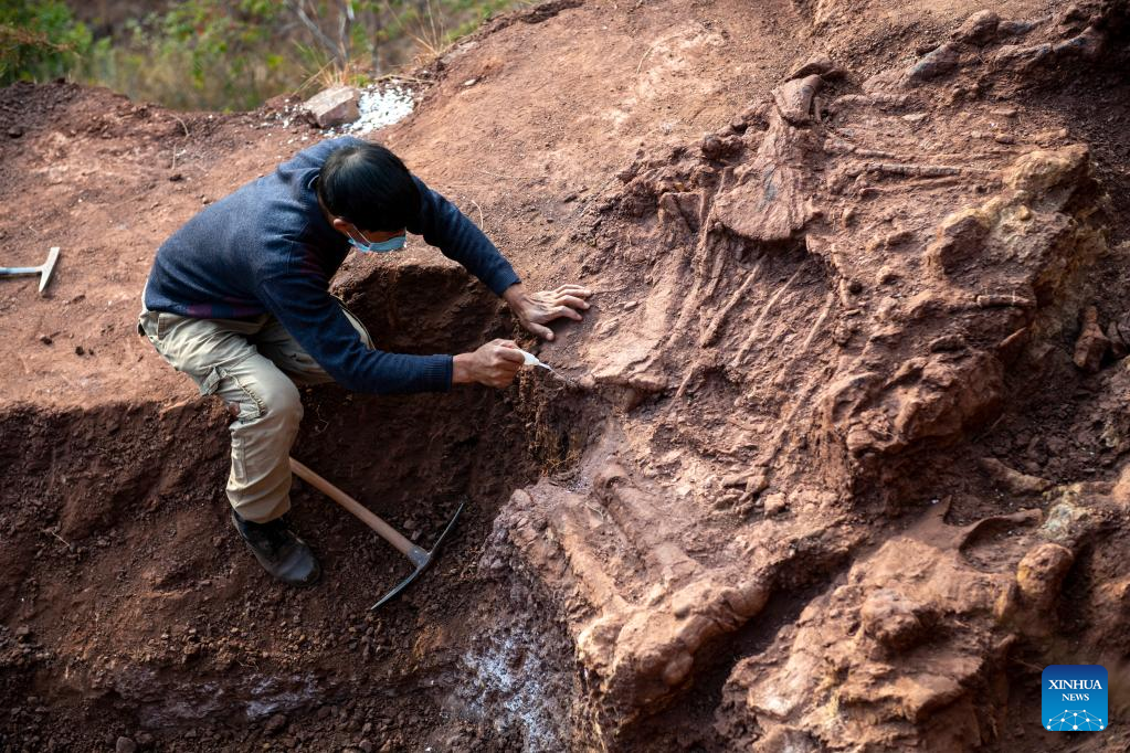 Fosil Dinosaurus Ditemukan di Yunnan-Image-1