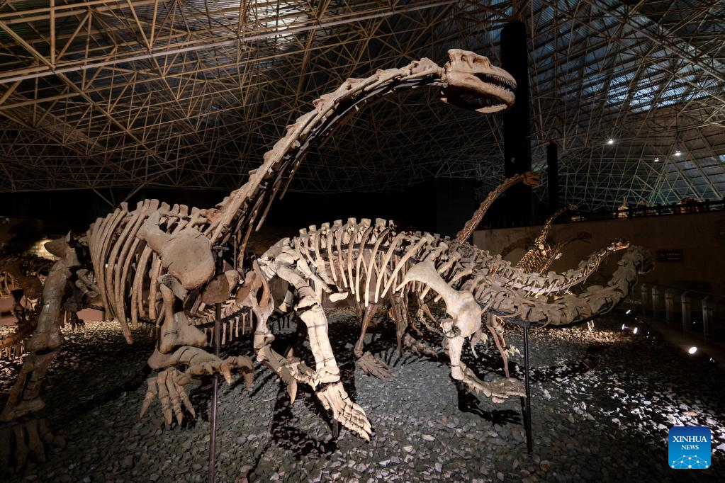 Fosil Dinosaurus Ditemukan di Yunnan-Image-3