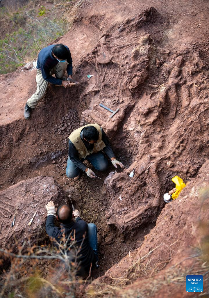 Fosil Dinosaurus Ditemukan di Yunnan-Image-6