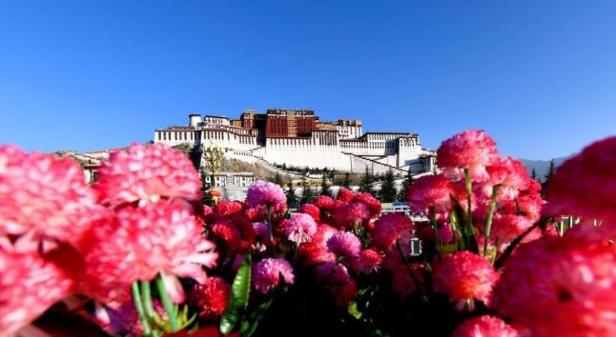 POTRET Istana Ikonik Potala Dibuka Lagi di Lhasa-Image-1