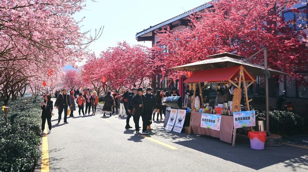 POTRET: Wisata Menyusuri Pesona Taman Sakura dengan Kereta Merah Muda-Image-5