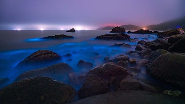 POTRET: Indahnya Pantai di China Bercahaya Bak Lampu Neon-Image-1