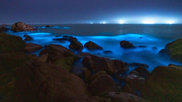 POTRET: Indahnya Pantai di China Bercahaya Bak Lampu Neon-Image-3